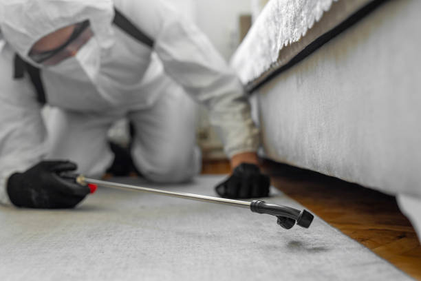 Professional Termite Control technician working in Candlewick Lake, IL